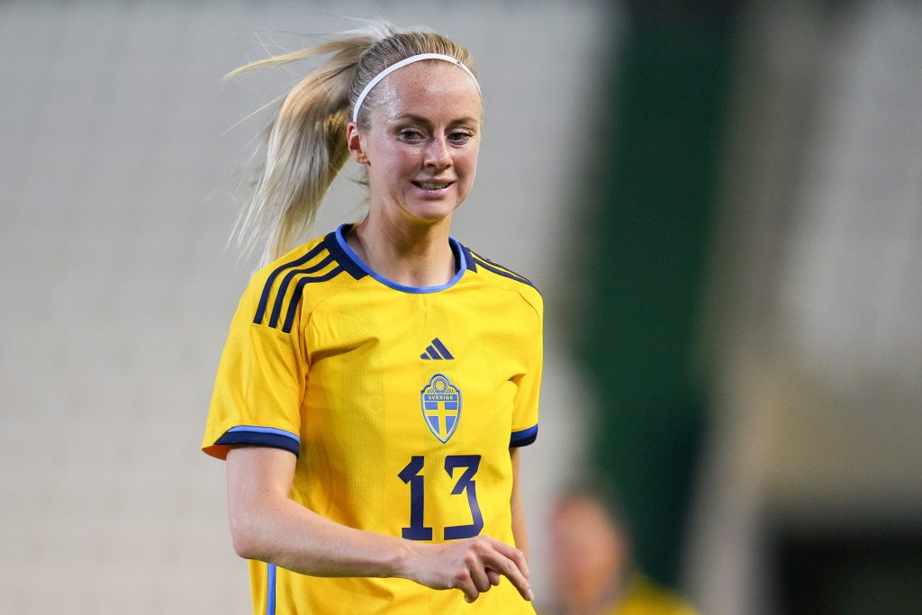Arsenal’s Ilestedt nets late winner for Sweden against South Africa