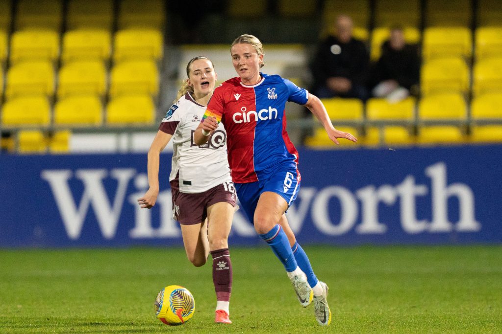 Fans can give Crystal Palace a real push against Watford says Everett