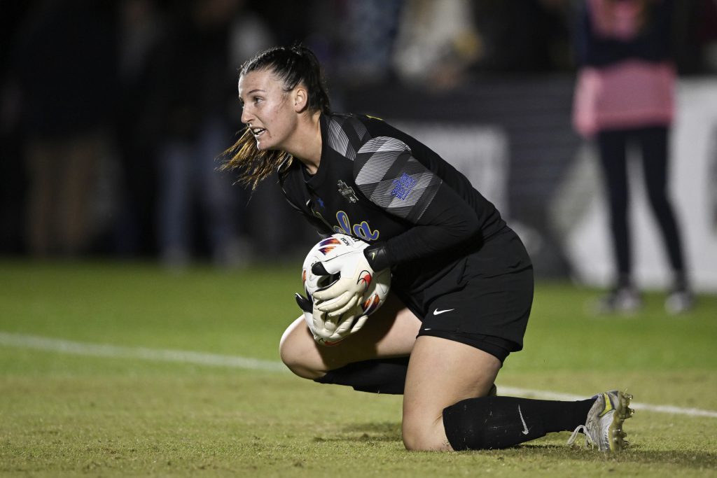 Bristol City sign Hungarian international keeper Brzykcy