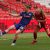 Brighton & Hove Albion sign Newcastle United forward Murphy