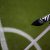 Newcastle United sign midfielder Bradley